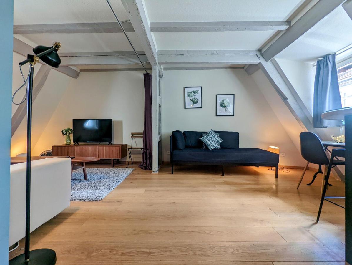 Citycosy Strasbourg - Authentique Batelier Екстер'єр фото