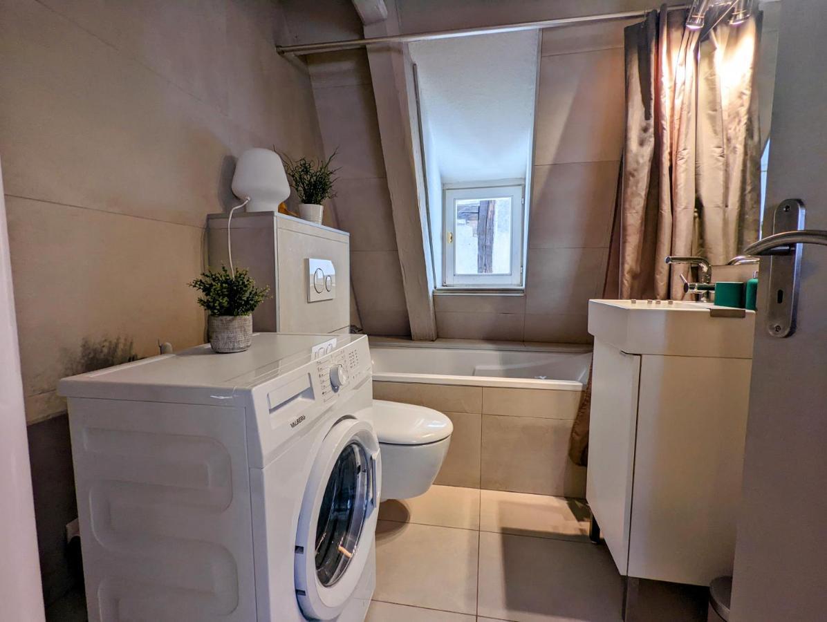 Citycosy Strasbourg - Authentique Batelier Екстер'єр фото