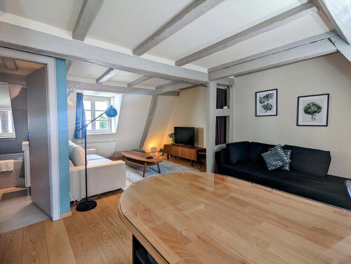 Citycosy Strasbourg - Authentique Batelier Екстер'єр фото