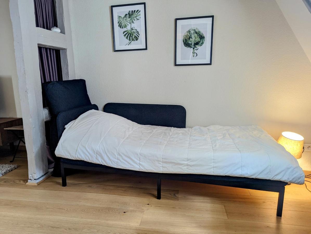 Citycosy Strasbourg - Authentique Batelier Екстер'єр фото