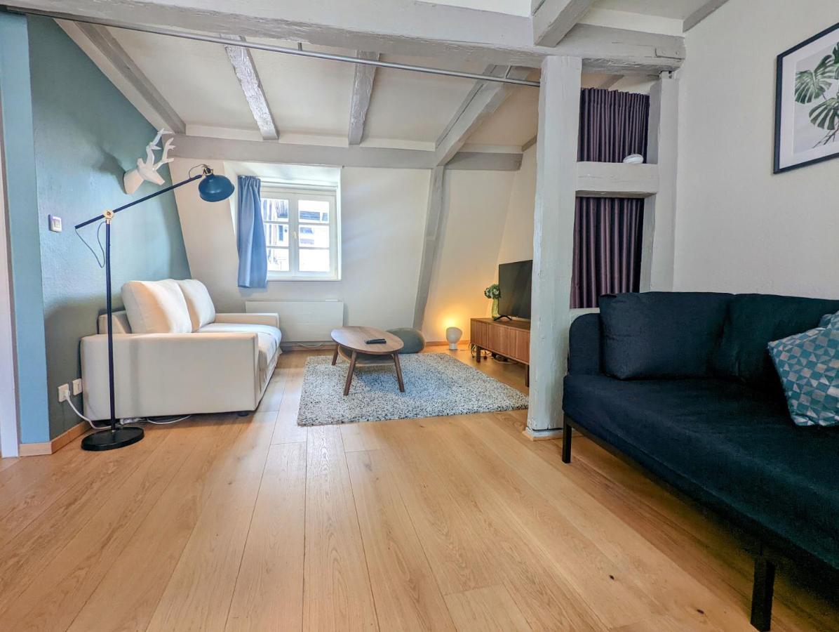 Citycosy Strasbourg - Authentique Batelier Екстер'єр фото