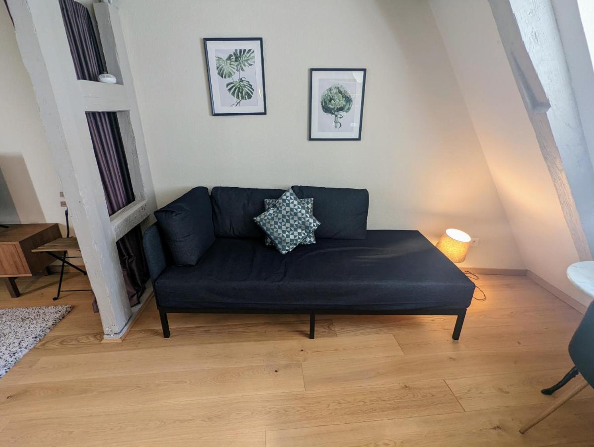 Citycosy Strasbourg - Authentique Batelier Екстер'єр фото