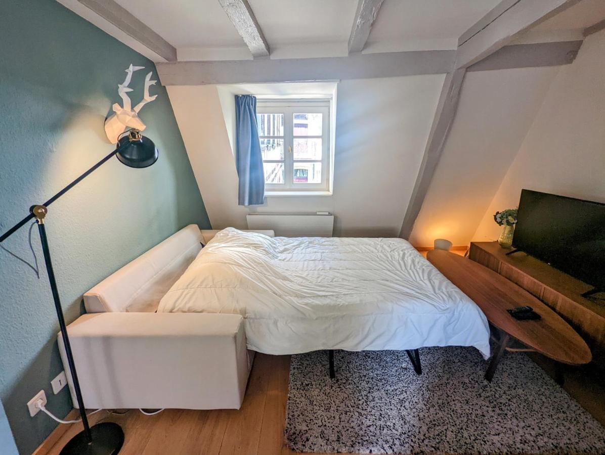 Citycosy Strasbourg - Authentique Batelier Екстер'єр фото